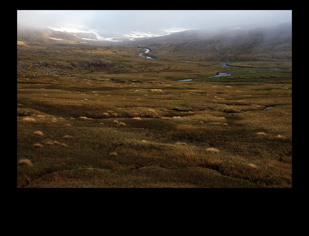 At Hornvík