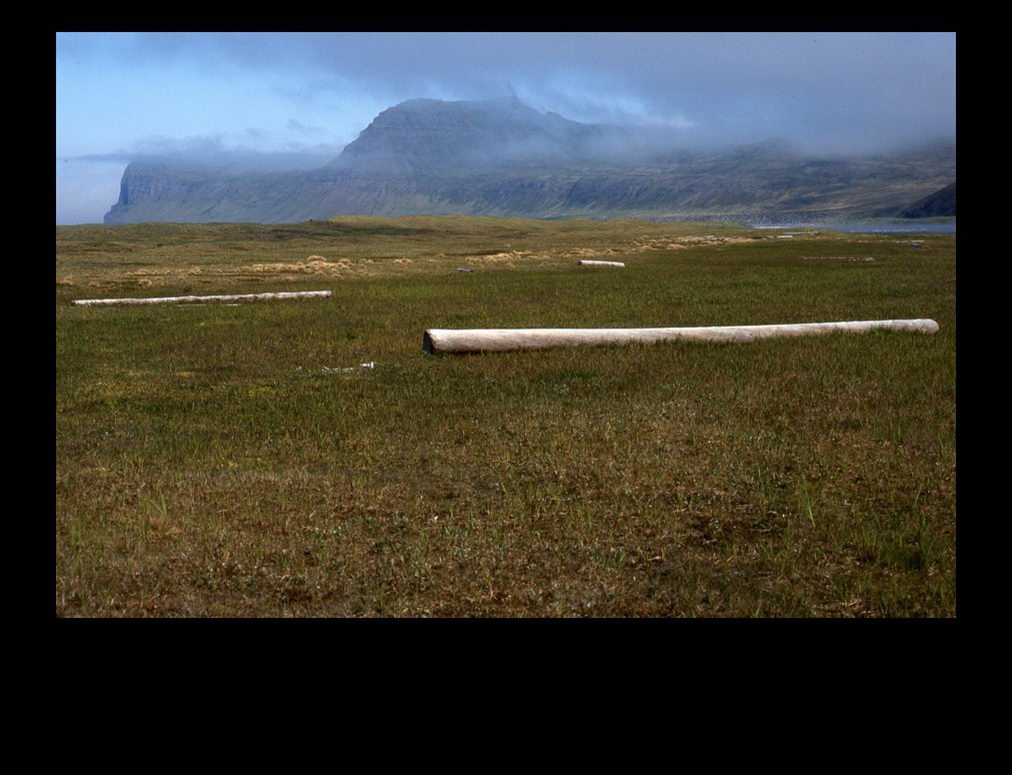 At Hornvík