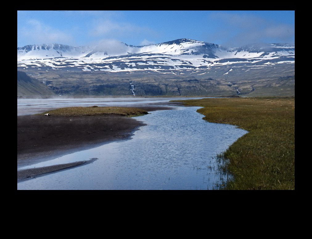 At Hornvík